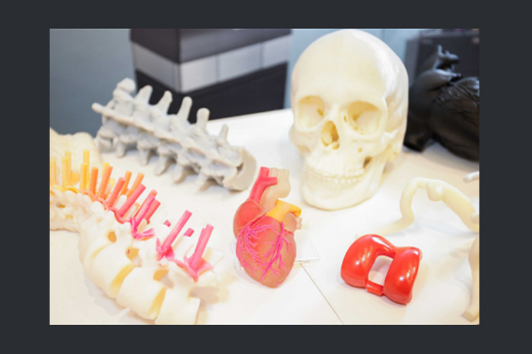 SLA激光3D打印机的应用：医疗、航空和艺术领域的颠覆性技术